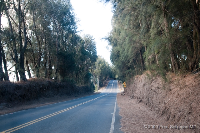 20091101_143150 D300.jpg - Kohala Mountain Road, Hawaii